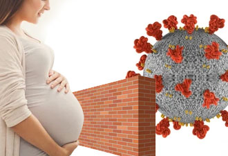 COVID-19 and Pregnancy